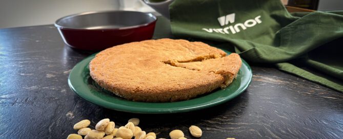 Gató Mallorquín - Vitrinor